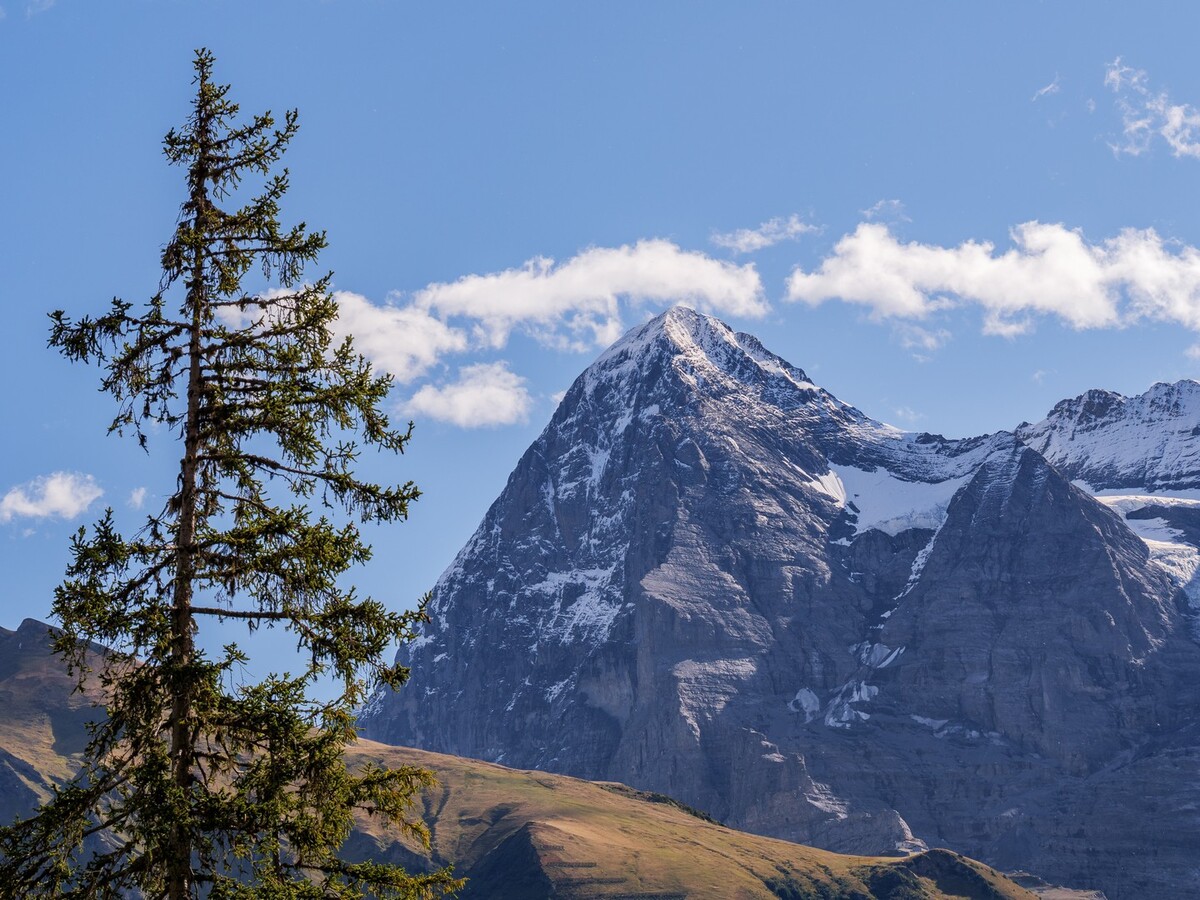 Magnficent Mountain